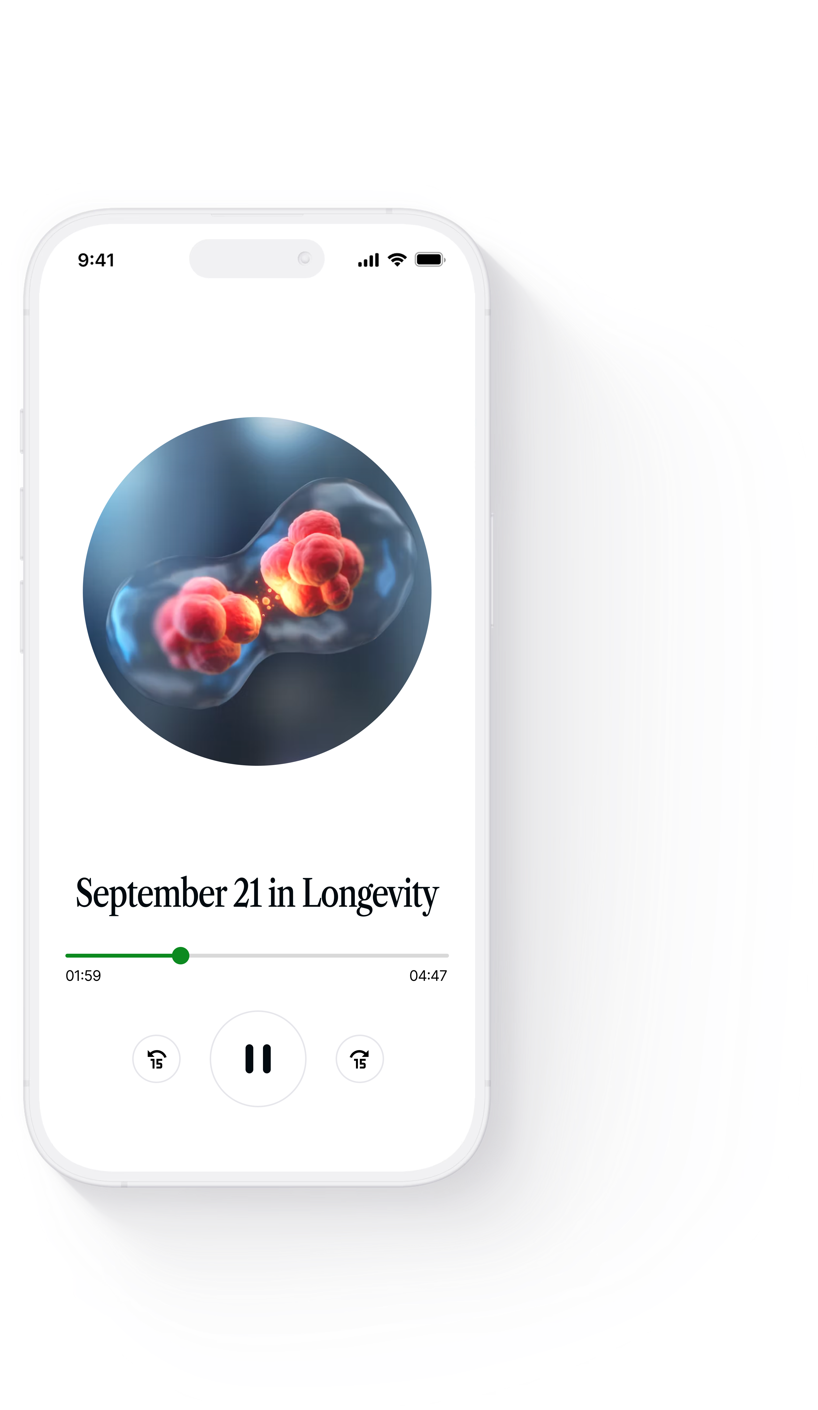 Phone with Audio Brief